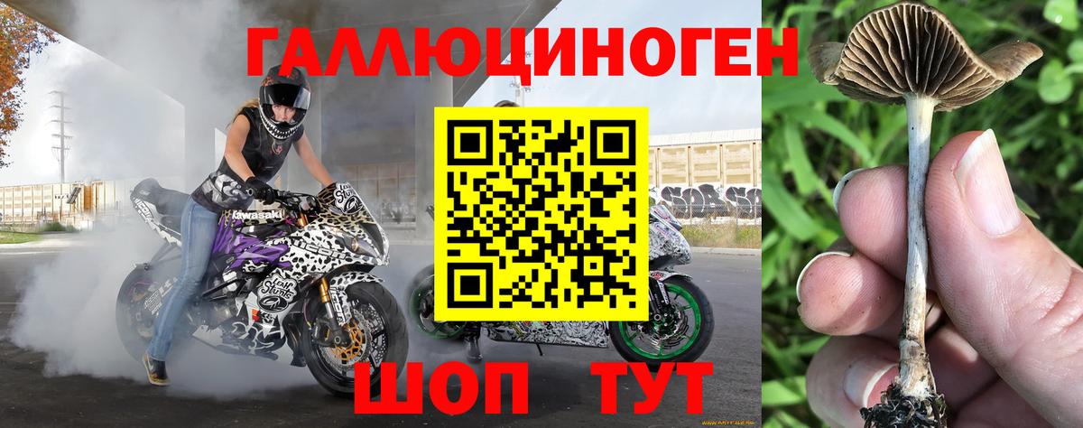 Галлюциногенные грибы мухоморы Озёрск
